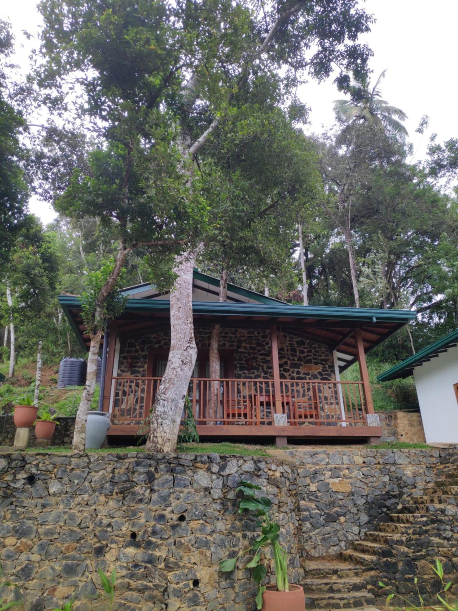 Pinnacle Pearl Hiriketiya Dikwella Bagian luar foto